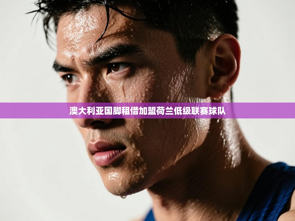 澳大利亚国脚租借加盟荷兰低级联赛球队 第1张