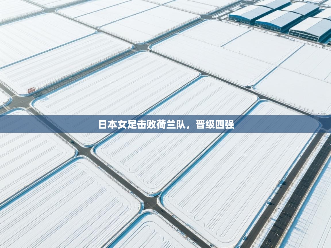 日本女足击败荷兰队,晋级四强 第1张