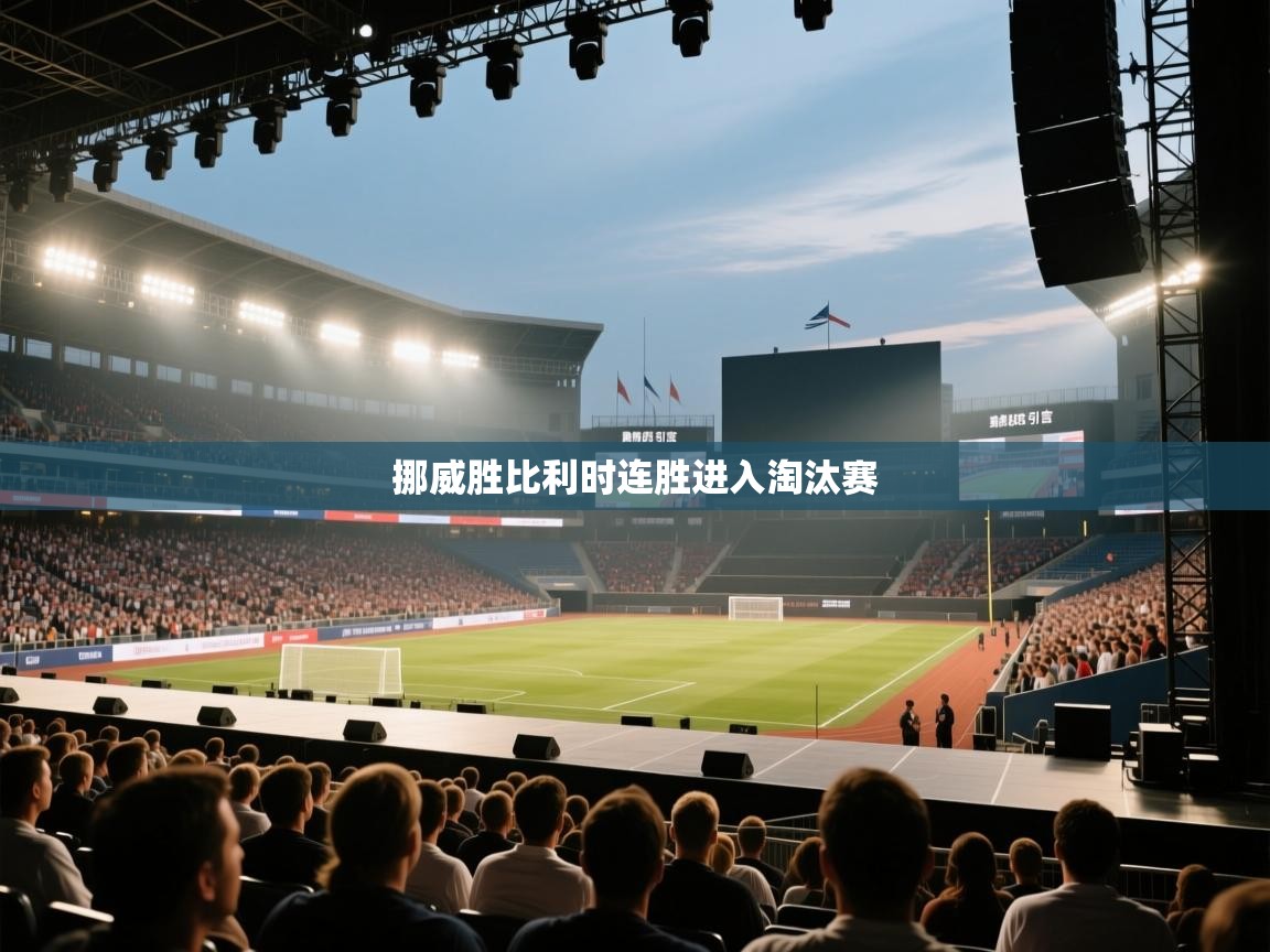 挪威胜比利时连胜进入淘汰赛  第1张