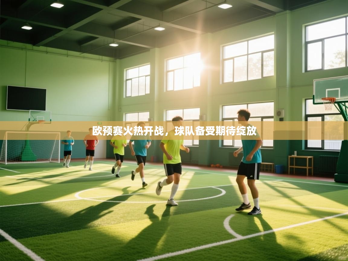 欧预赛火热开战,球队备受期待绽放 第2张