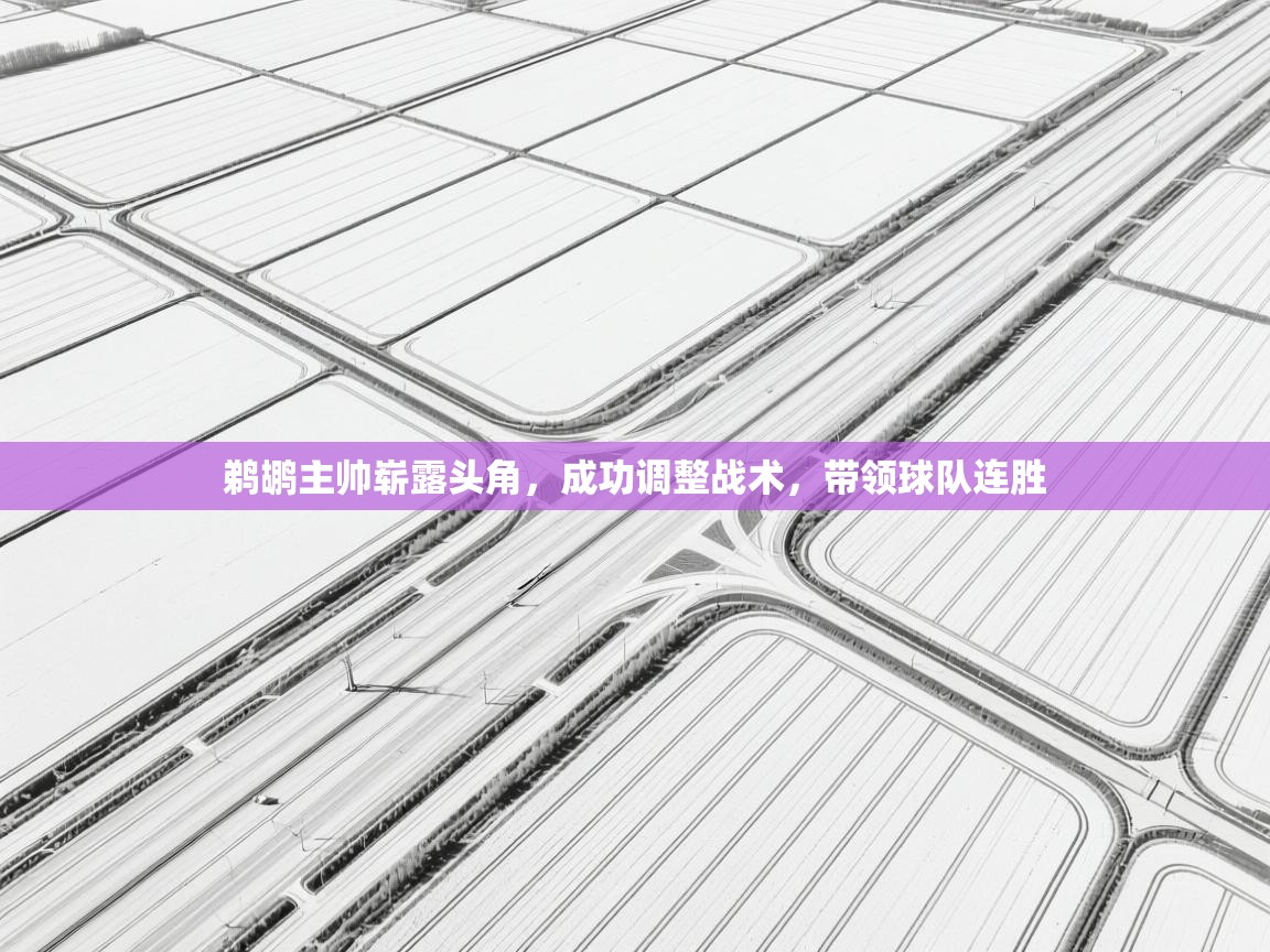 鹈鹕主帅崭露头角，成功调整战术，带领球队连胜  第1张