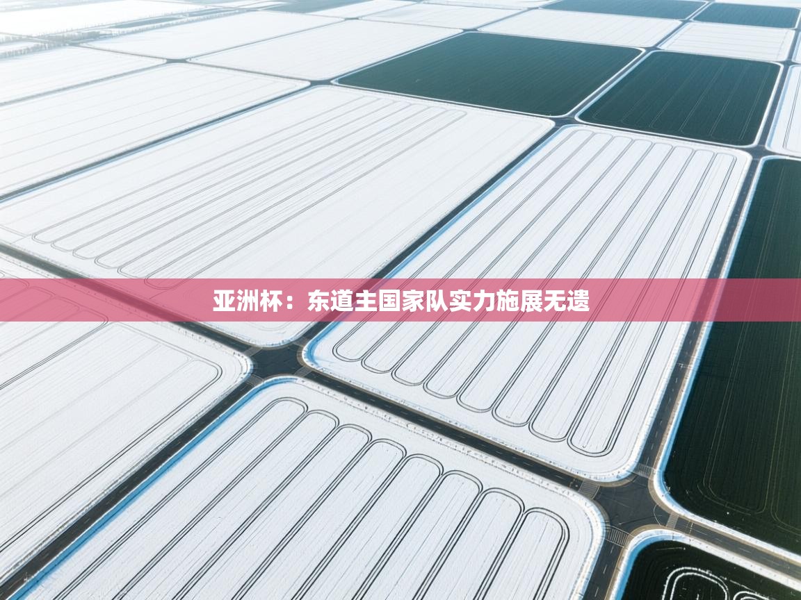 亚洲杯：东道主国家队实力施展无遗  第1张