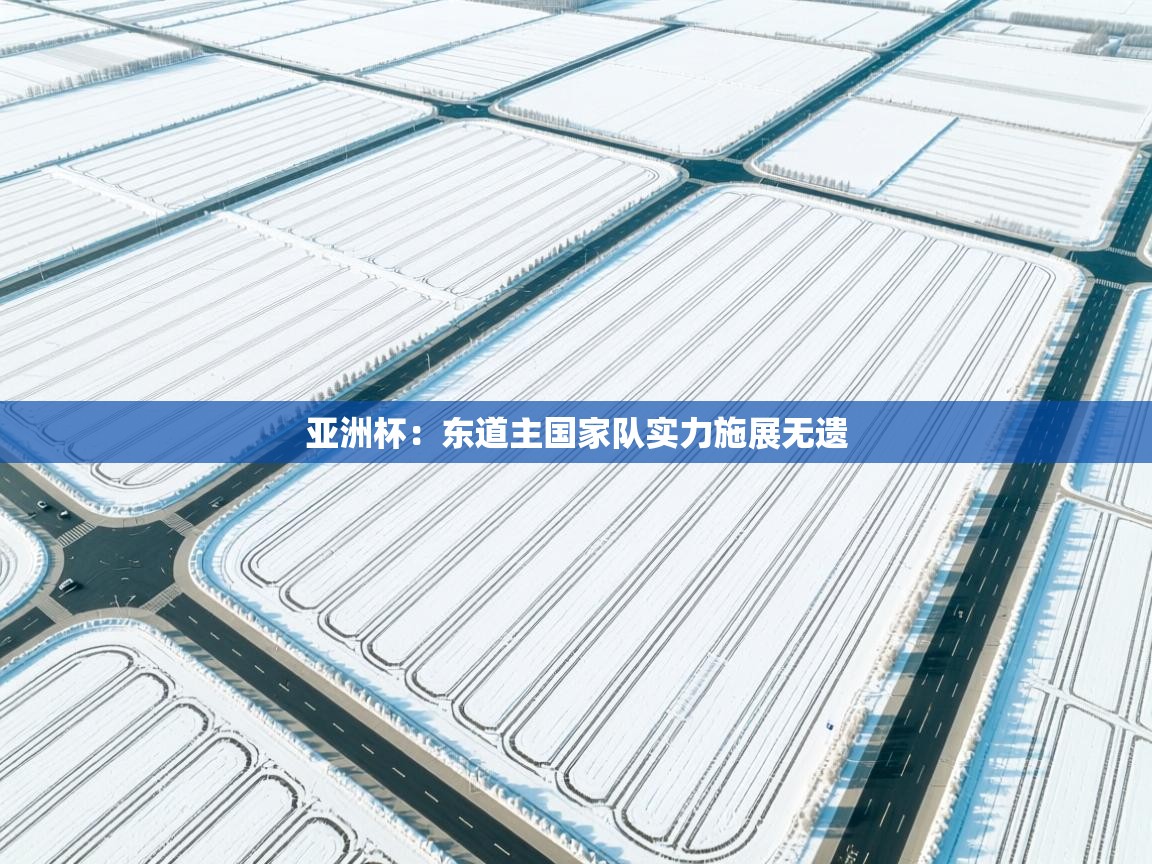 亚洲杯：东道主国家队实力施展无遗  第2张