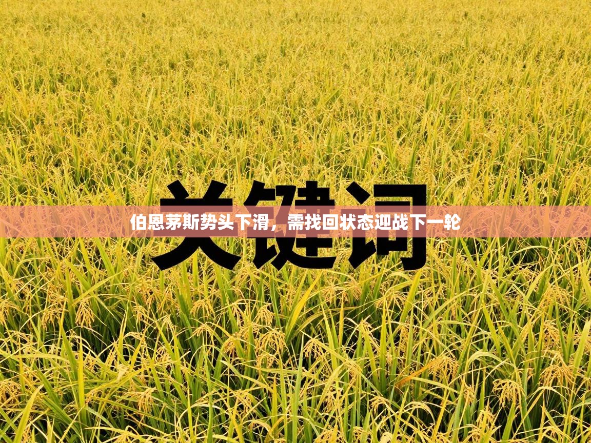 伯恩茅斯势头下滑,需找回状态迎战下一轮 第2张