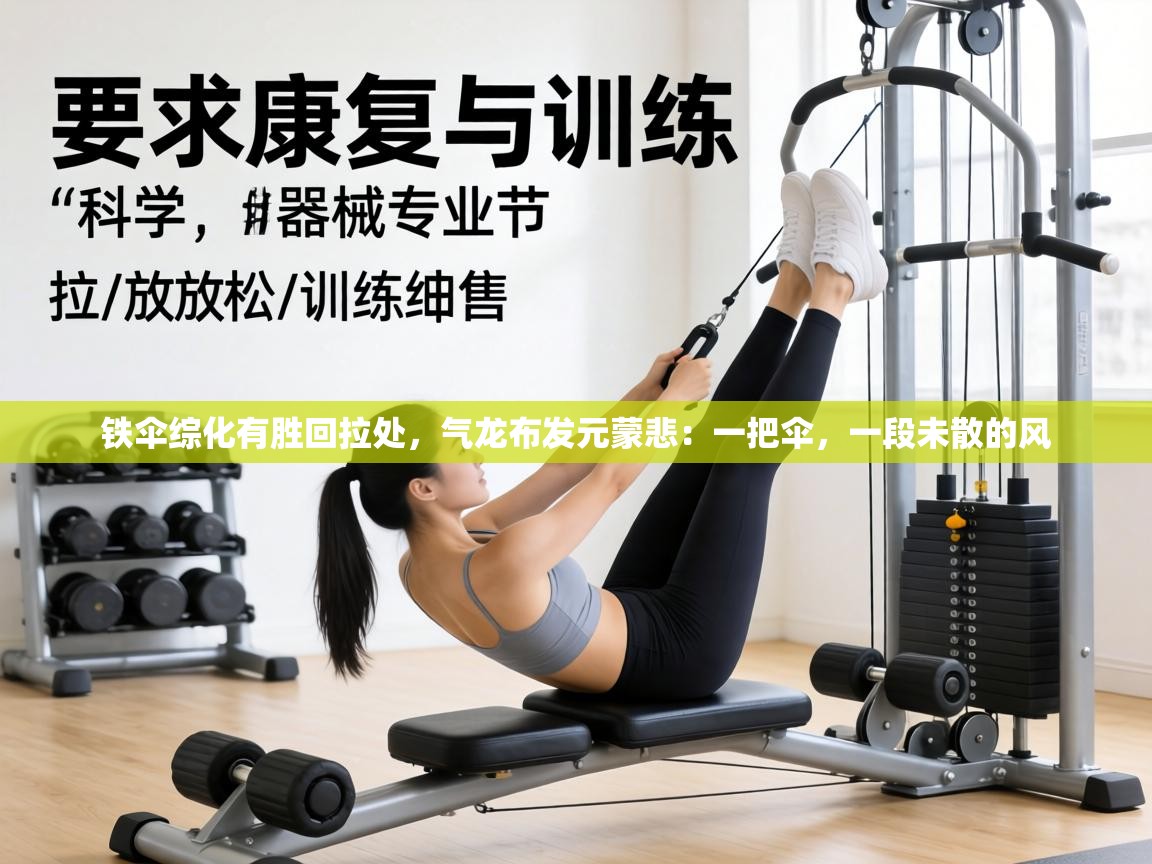 铁伞综化有胜回拉处，气龙布发元蒙悲：一把伞，一段未散的风  第1张