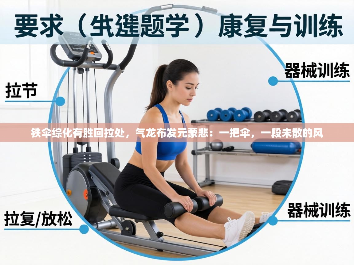 铁伞综化有胜回拉处，气龙布发元蒙悲：一把伞，一段未散的风  第2张