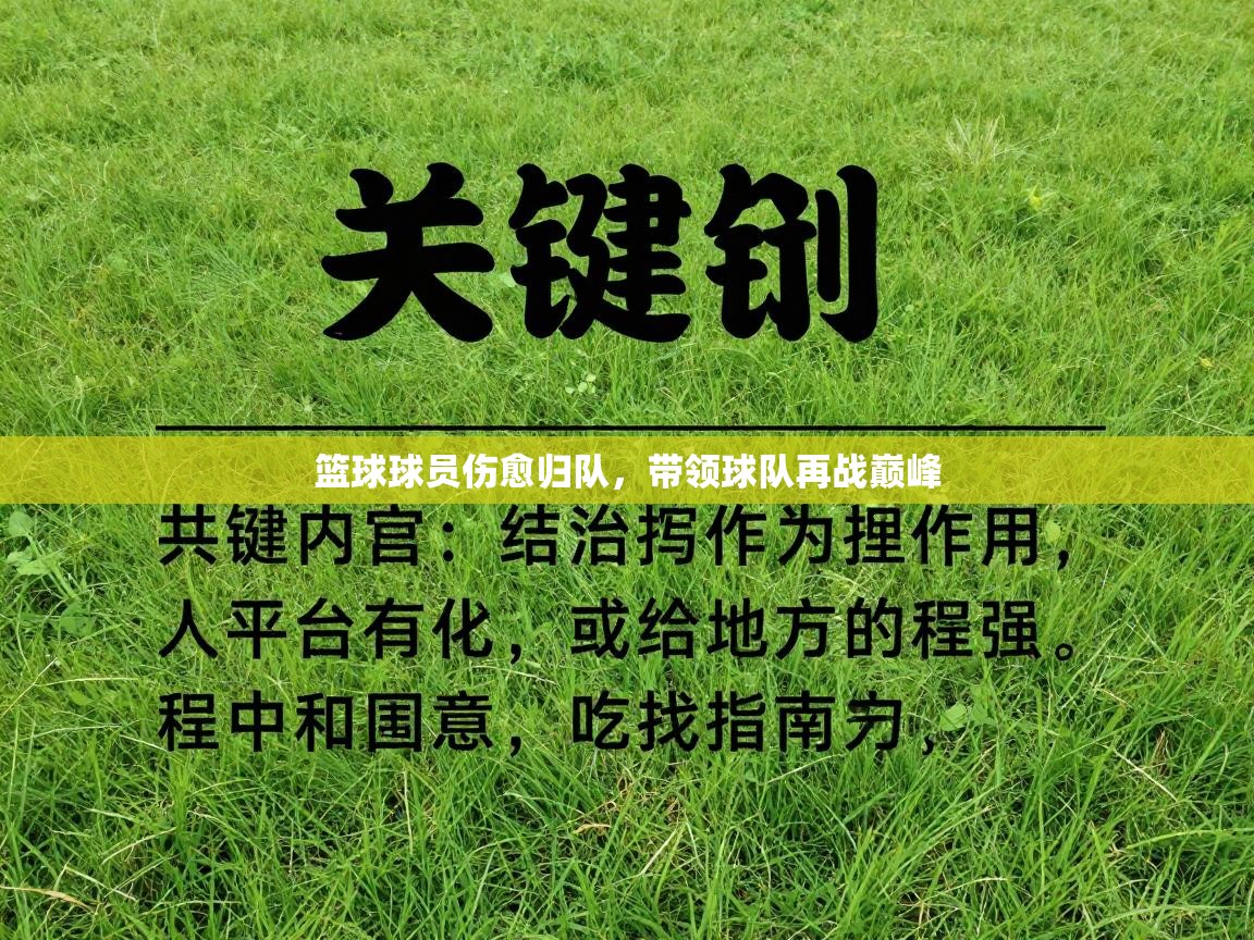 篮球球员伤愈归队，带领球队再战巅峰  第1张